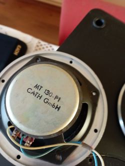 Głośnik w kolumnie audio marki CATH GmbH z widocznymi oznaczeniami MT 130-P1.