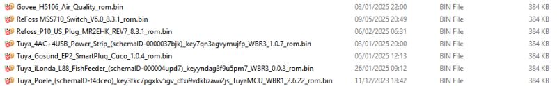 A list of IoT device ROM BIN files, each with a size of 384 KB.