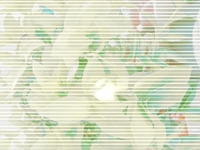 Aparat cyfrowy Samsung - prześwietla zdjęcia...