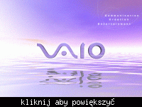 Jak wejść do BIOSa w laptopie Sony VAIO PCG S630? Konflikty w Windowsie