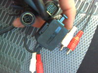 Alpine - Ciekawe odkrycie