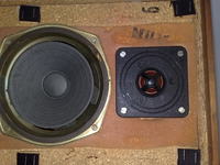 Regeneracja głośników w kolumnach ZGZ-20/4-H5. Co zrobić?