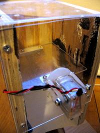 Prosty system automatycznego karmienia kota