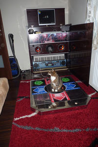 DDR - Domowa szafka na twardą matę Dance, Dance Revolution