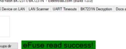 Screenshot showing the message “eFuse read success!” on a green background.