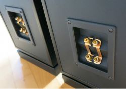 Jak podłączyć Tonsil Maestro III z bi-wiringiem do Onkyo TX-SR308?