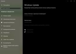 Brak windows update w usługach jaki w całym systemie