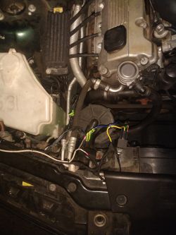 Bmw e 46 318i - Nie wyłączający się wentylator chłodnicy