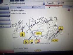 Locating the Oil Level Cap for Gearbox Oil Change in Peugeot 206 1.4 75km Locating the Oil Level Cap for Gearbox Oil Change in Peugeot 206 1.4 75km
