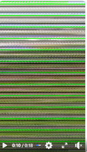 Problem z grafiką - Migające zielone poziome paski