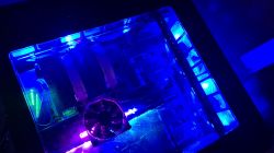 Co to za stop jest na tych radiatorach?