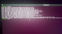 Lenovo G50-80 nie wykrywa EGPU przez NGFF m.2 - jak rozwiązać?