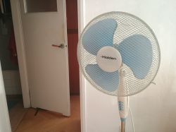 Wentylator stojący marki Holden z niebieskimi łopatkami na tle otwartych drzwi.