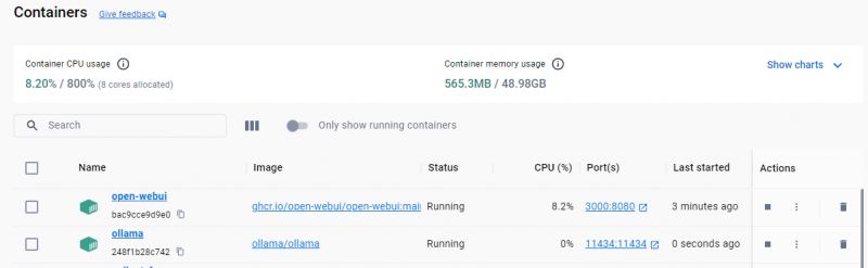 Container Management Panel with Active Instances Screenshot of container management panel with CPU and memory usage data.