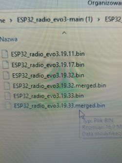 BIN files of ESP32 project with visible version names and merged file indicators