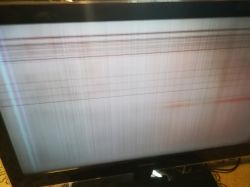 Samsung LE40A856S1M - po starcie na matrycy linie pionowe i poziome