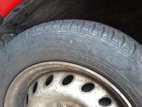 Seicento 900 Young - Opony całoroczne czy letnie - identyfikacja