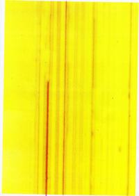 Ricoh ColorLaser AP206 - rozmazywanie wydruku Ricoh ColorLaser AP206 - rozmazywanie wydruku