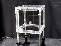 2.1 Amplituner diody plexi jak zbudowac od podstaw :D