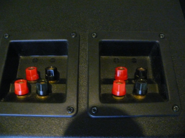 Subwoofer ZGN-200-8-594