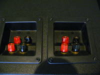 Sub Tonsil ZGN 200-8-594 Jak Podłączyć?