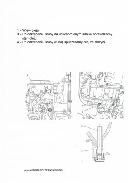 Lokalizacja wlewu i wymiana oleju w skrzyni - Renault Clio II 1.6 automat