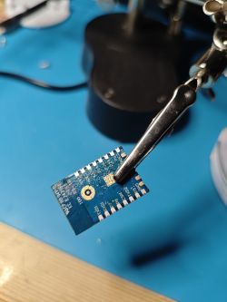 Chip held in a holder against a blue workbench background.