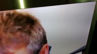 Samsung UE55C9005SWXXE - poziome paski, nie znikają po rozgrzaniu TV