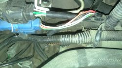 Citroen Xsara 1,9D - Dym spod deski - potrzebny schemat