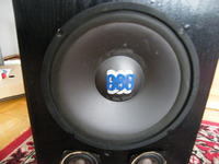 Za ile głośnik 888 d-25cm