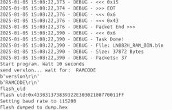 Console screenshot showing the debugging and data transfer process from flash memory.