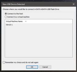 Zawieszanie się komputera przy podłączaniu dysków USB podczas pracy VMware Pro 17.xx
