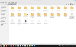 Widok menedżera plików z otwartym woluminem zawierającym foldery systemu Windows