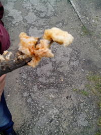 Chevrolet Aveo 1.4 - grudki w płynie chłodzącym po zakupie auta, przyczyny?