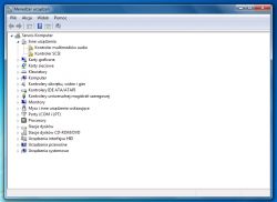 Zrzut ekranu z Menedżera urządzeń systemu Windows z widocznymi urządzeniami i brakującymi sterownikami.