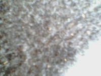 Mocne basy estradowe na 12"
