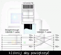 Dlaczego sieć LAN działa tylko na 10Mbit/s zamiast 100Mbit/s?