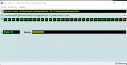 Ekran oprogramowania do kodowania sterownika Bortnetz w samochodzie