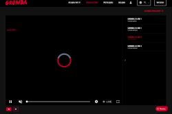 Zrzut ekranu odtwarzacza GROMDA z kółkiem ładowania i listą streamów po prawej