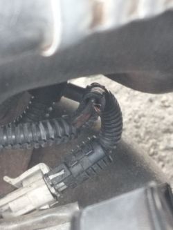 Przetarta wiązka w czarnym peszlu przy złączu elektrycznym w komorze silnika