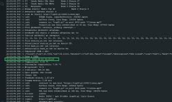 Screenshot showing JSON results with date and time.