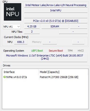 Zrzut ekranu z narzędzia sprzętowego z danymi Intel NPU i dysku NVMe Patriot M.2 P300 256GB.