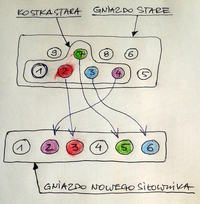 Peugeot 406 1996 - Jak podłączyć nowy siłownik zamka centralnego?