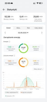 Screenshot of an energy management app showing consumption and export statistics.