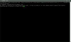 Terminal Displaying WiFi Support Info for Cloudcutter Terminal window displaying WiFi support information.