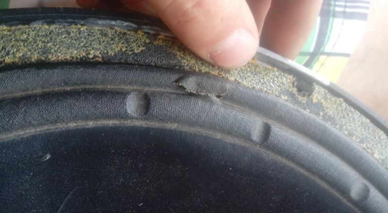 Gdzie znaleźć zestaw naprawczy do Celestion T4319? Szukam zawieszenia.