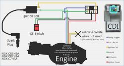 No Spark in Loncin 125 Chinese Cross: Magnet, Module, Coil Replacement Advice Needed