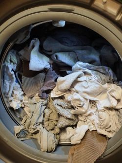 Bosch Condenser Tumble Dryer: Comparing WTW85460PL Heat Pump Model and Conventional Options