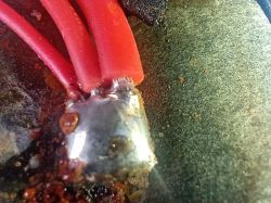 Napięcie na akumulatorze 24V po odłączeniu od ładowarki spada do ok. 20V