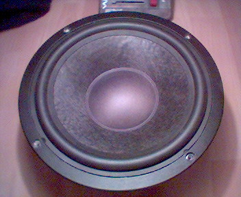 Co to za model Tonsila (20cm).